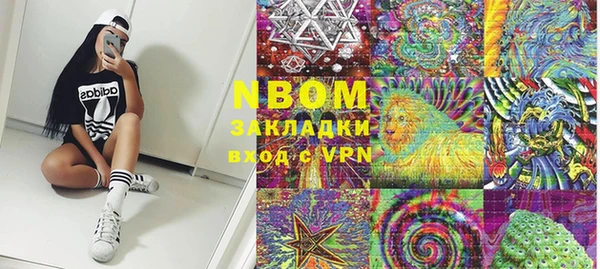 винт Няндома