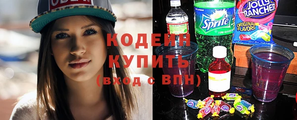 винт Няндома