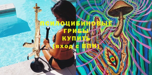 винт Няндома