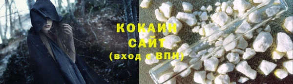 винт Няндома