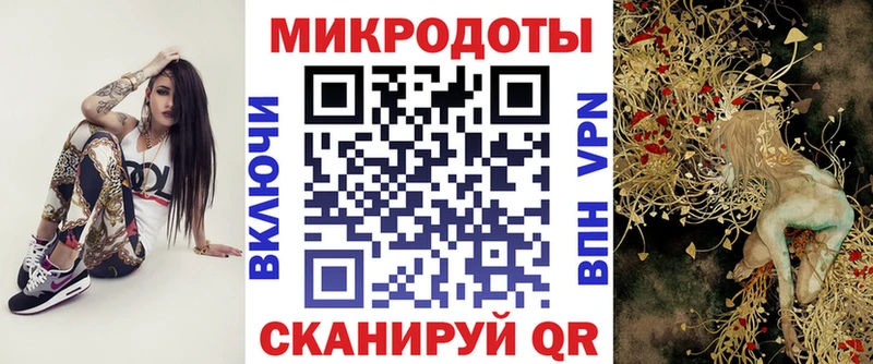 Галлюциногенные грибы Psilocybe  Чегем 